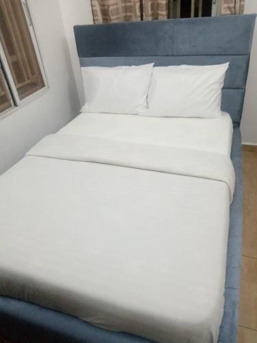 Tastefully Furnished 4 Bedroom Apartment at Rockvale Manor Estate, Apo Dutse