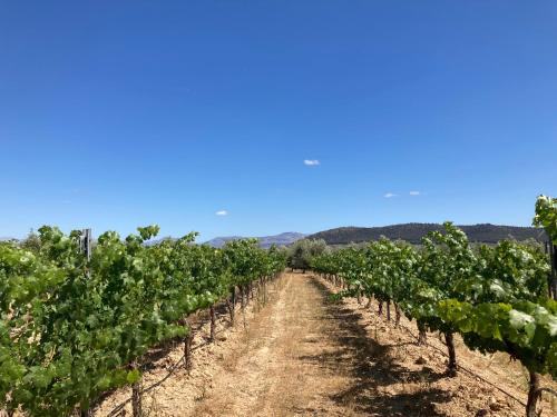 Cortijo Don Cristobal Wine Estate near Antequera