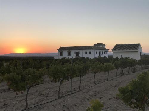  Gorgeous new stand alone cottage in rural Malaga in Antequera