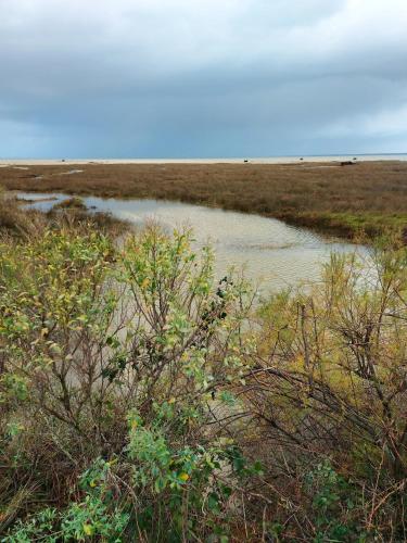 Villa de 3 chambres a Gujan Mestras avec piscine privee jardin clos et WiFi gîte à louer La Hume