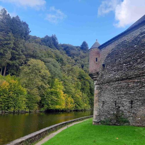 Golden Lion - image 13