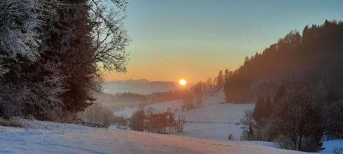 Apkārtne, Ferienwohnung Bergblick in Gestratz