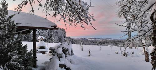 Apkārtne, Ferienwohnung Bergblick in Gestratz