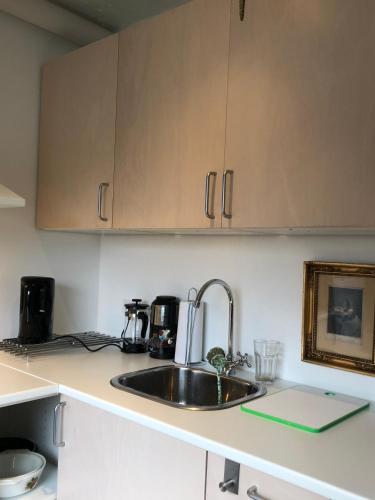 AppleFlower Farm retro apartment in Ringsted
