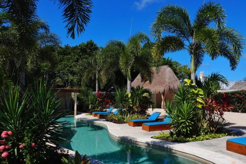 336428705 Blue Palm Bacalar