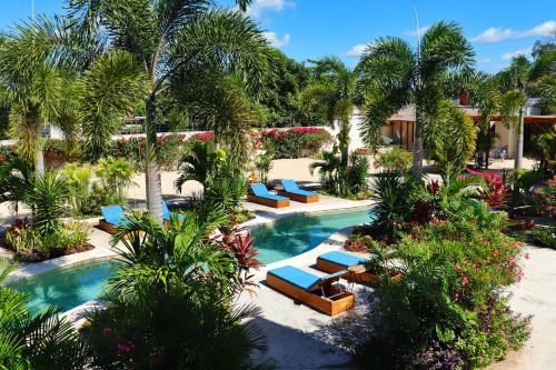 336428735 Blue Palm Bacalar