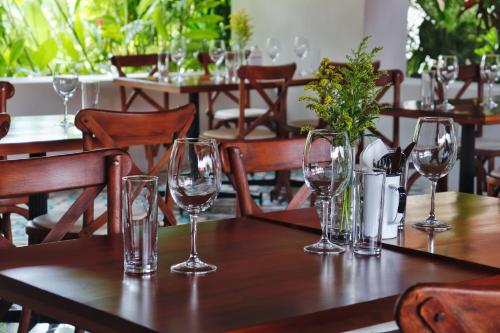 336429205 Blue Palm Bacalar