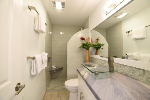 Hoyochi Nikko 105 - image 10