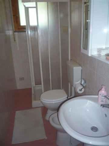 Apartments in Marina di Bibbona - Toskana 42360