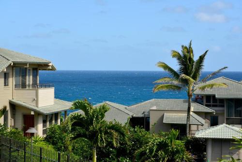 Kapalua Bay Villas 33G2 - image 13