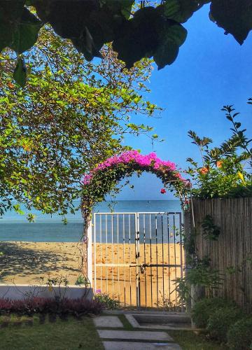 Smell rose beach garden in Tanjung Bungah