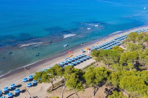 Holiday Homes in Piombino - Toskana 42356