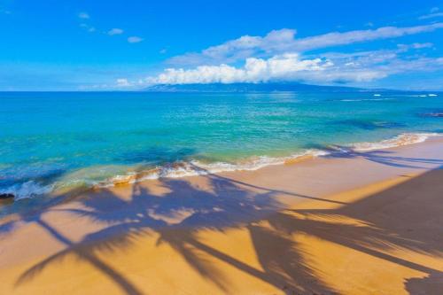 Kaleialoha 401 - main image