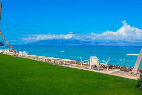 Kaleialoha 401 - image 7