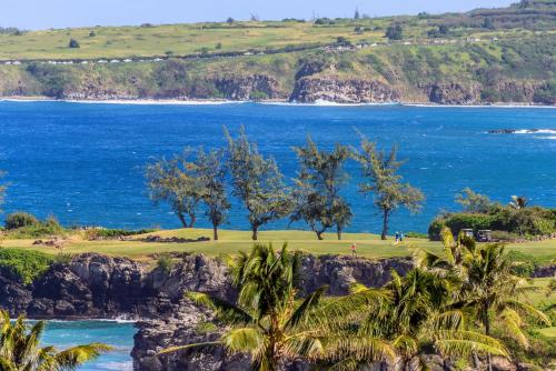 Kapalua Bay Villas 17B-3 - image 7