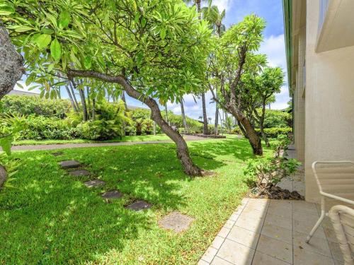 Napili Shores D127 - image 11