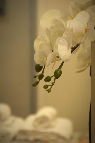 Apartamento Paula