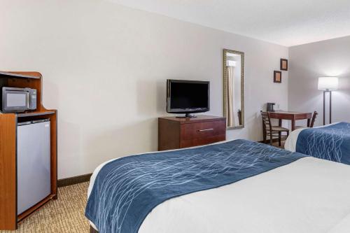 Comfort Inn Kalamazoo