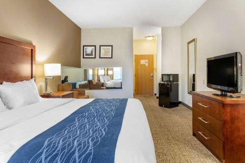 Comfort Inn Kalamazoo