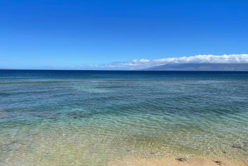 Maui Kai 206 - image 8
