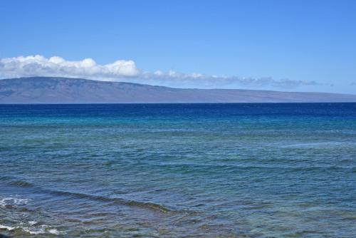 Maui Kai 206 - image 9