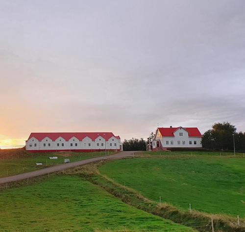 Helluland Guesthouse 5