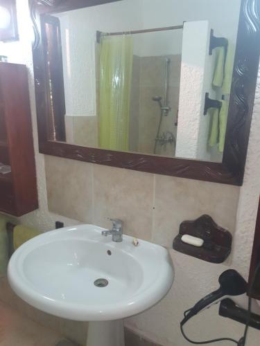 Ellina properties