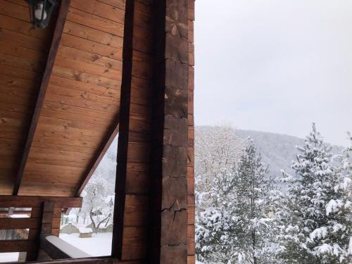 Вербовий двір - Willow Yard (Вербовии двір - Willow Yard) in Zhdenijevo