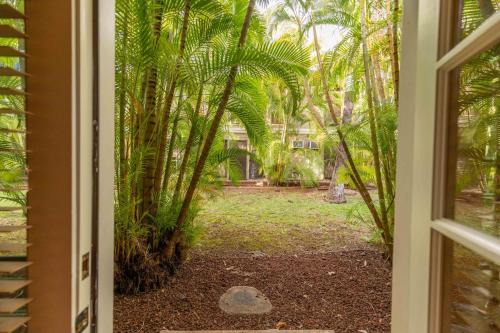 Aina Nalu G107 - image 10