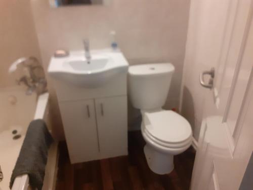 Beautiful Cosy 1Bedroom apartment in London