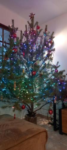 La siberie gîte à louer Touët-sur-Var