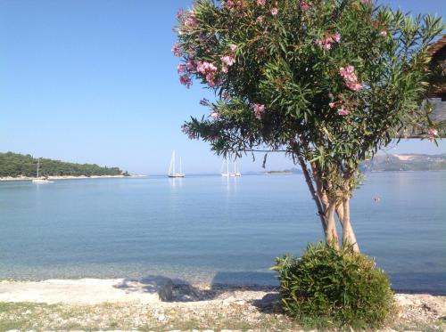  Apartment Biserka, Unterkunft in Cavtat