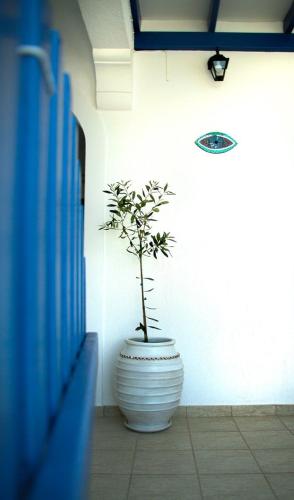 Fisheye Rooms - main image