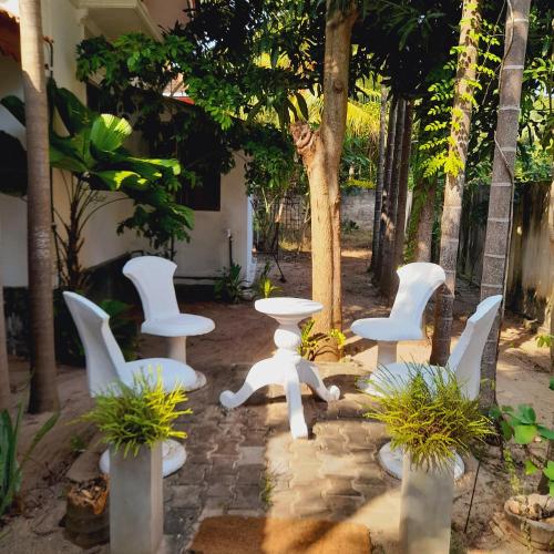 Malabar Villa and Hostal by Jaffna Tours & Excursions in Jaffna