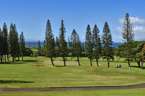 Kapalua Golf Villas 26T 5&6 - image 13