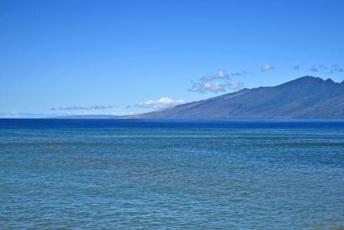 Sands of Kahana 316 - image 11