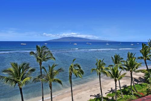 Lahaina Shores PH5 - image 13