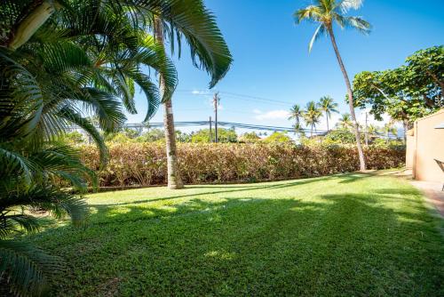 Maui Vista 1116 - image 13