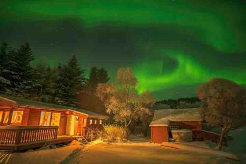 Waterfront mountain view cabin Lofoten