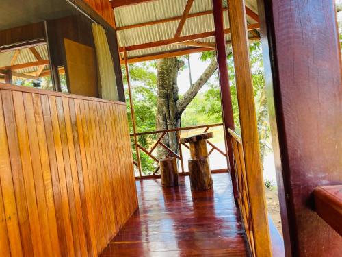 Sunrise of Tambopata in เปอร์โต้ มัลโดนาโด้