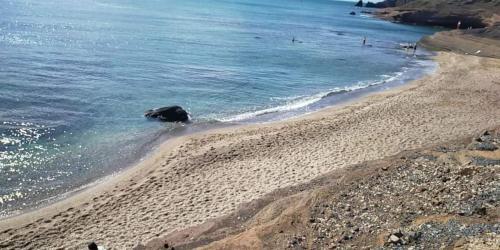 Charmant studio meuble a 250 m de la mer
