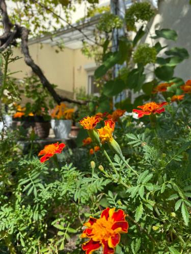 Golubaya Bukhta Art-hotel - main image