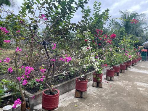 The Family Farm Stay in カウアヤン