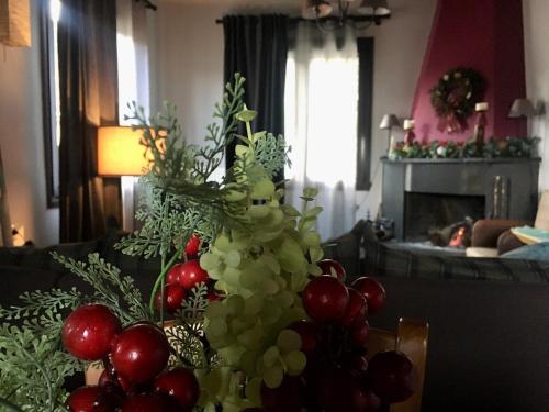 Ένα ζεστό σπίτι στους πρόποδες του Παρνασσού. gîte à louer Anávra