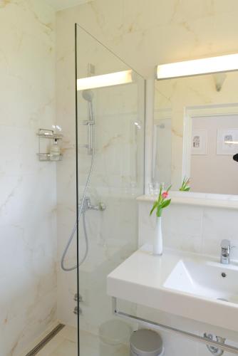 ApartHotel Vila Minka - image 12