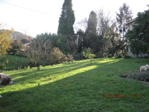 Mar Cantabrico Apartment