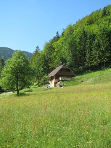 Chalet Brložnica pod Veliko planino - Luče