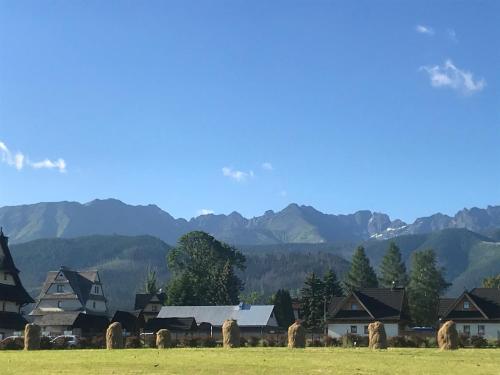 A1Willa skoczek Apartament południowy 2 pokojowy z plus Aneks kuchenny Promocja pobyt na termach dla 2 osób gratis, Zakopane (fotografie 4)