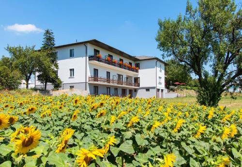 Gasthof-Pension Wein, Pension in Breitenbrunn