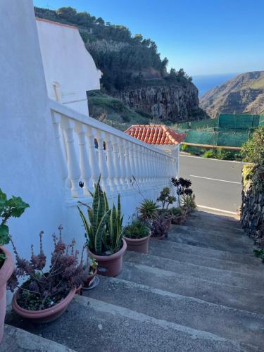 Rural Gomera - image 12